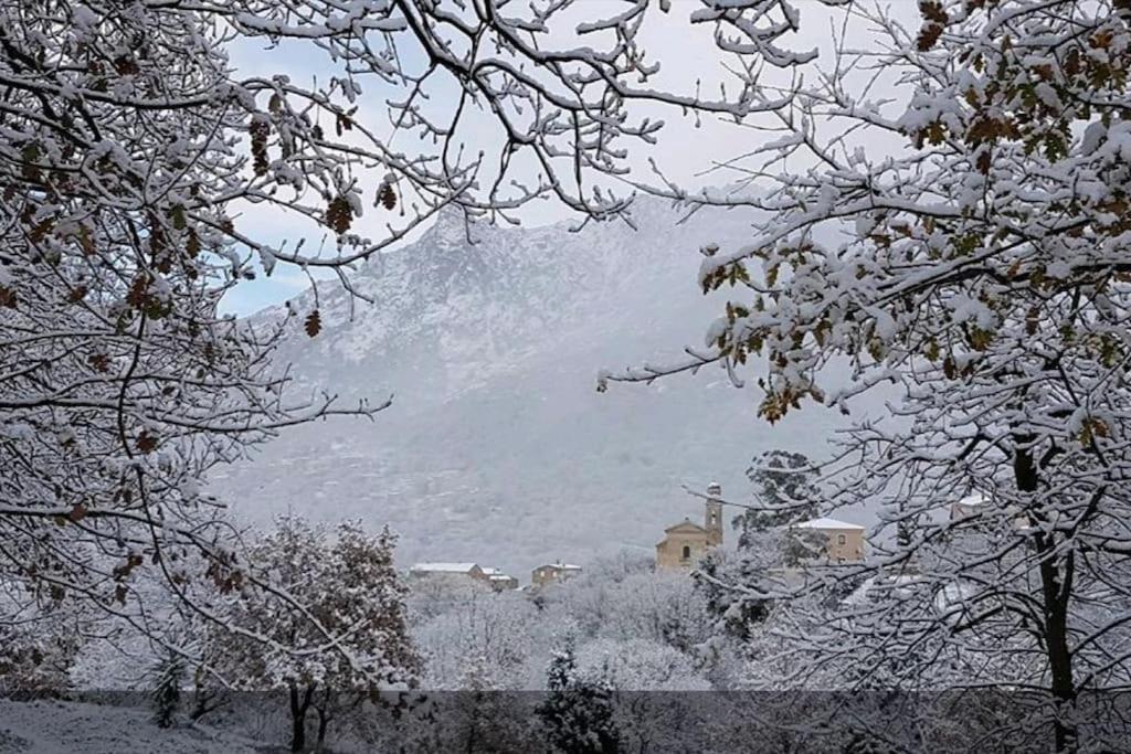 Maison Avec Jacuzzi Au Coeur Des Montagnes Feliceto Exteriér fotografie